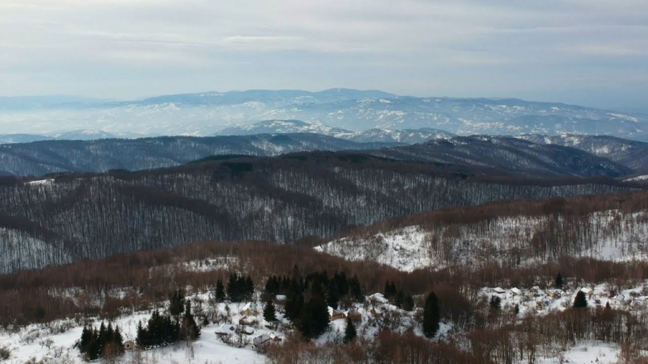 Slika oddaje