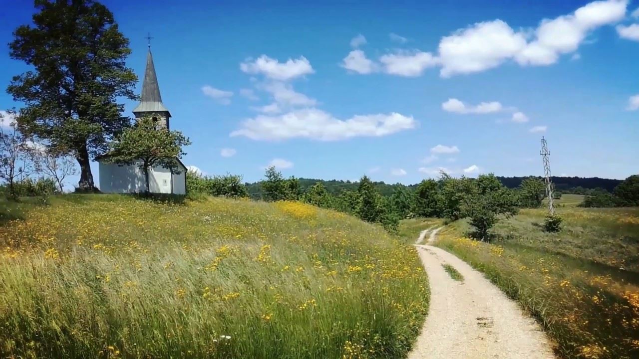 Slika oddaje