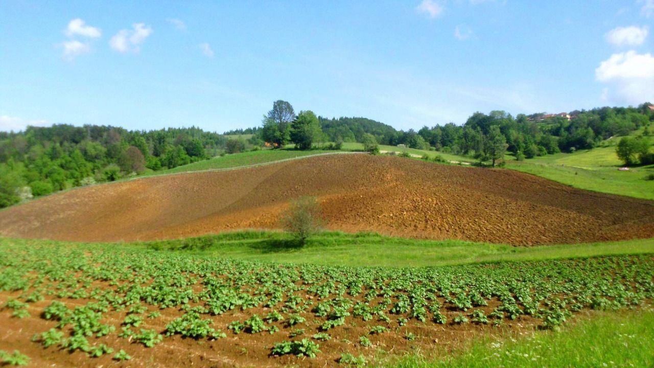 Slika oddaje