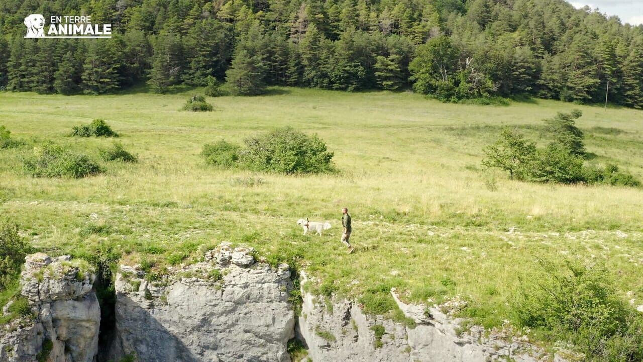 Slika oddaje