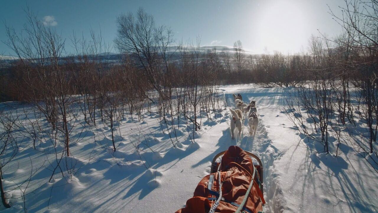 Slika oddaje