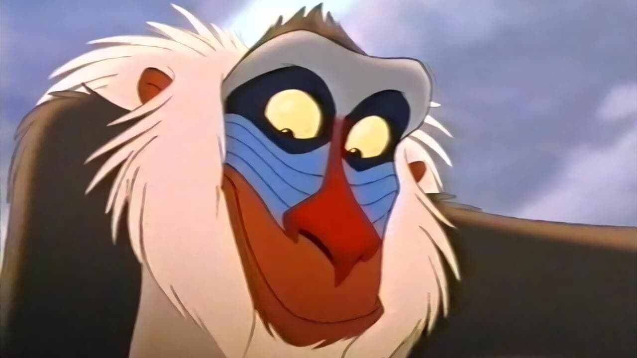 Slika oddaje
