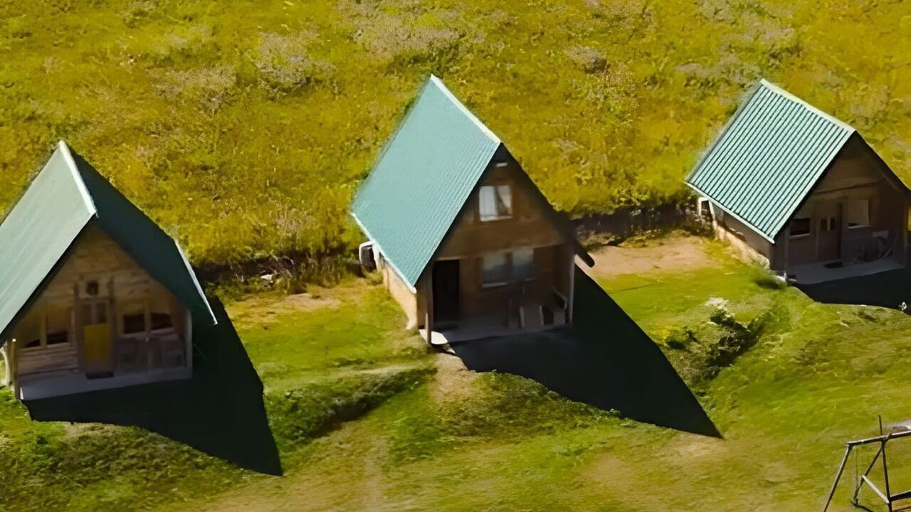 Slika oddaje