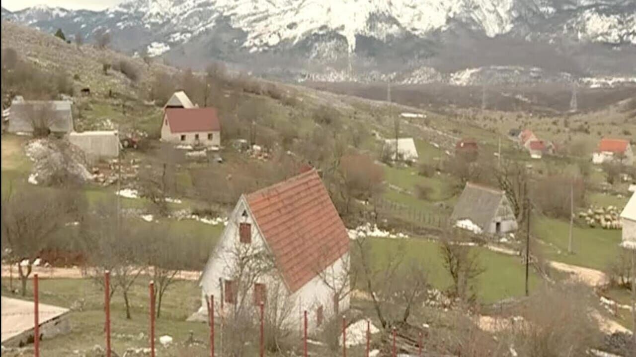 Slika oddaje