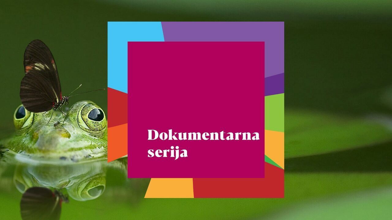Slika oddaje