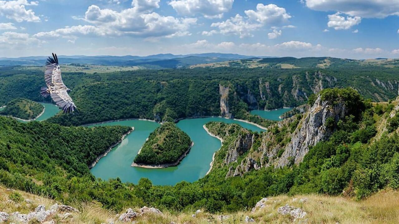 Slika oddaje
