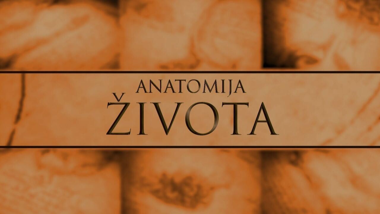 Slika oddaje