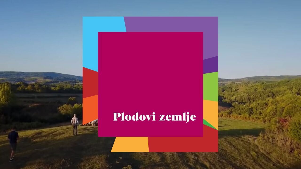 Slika oddaje