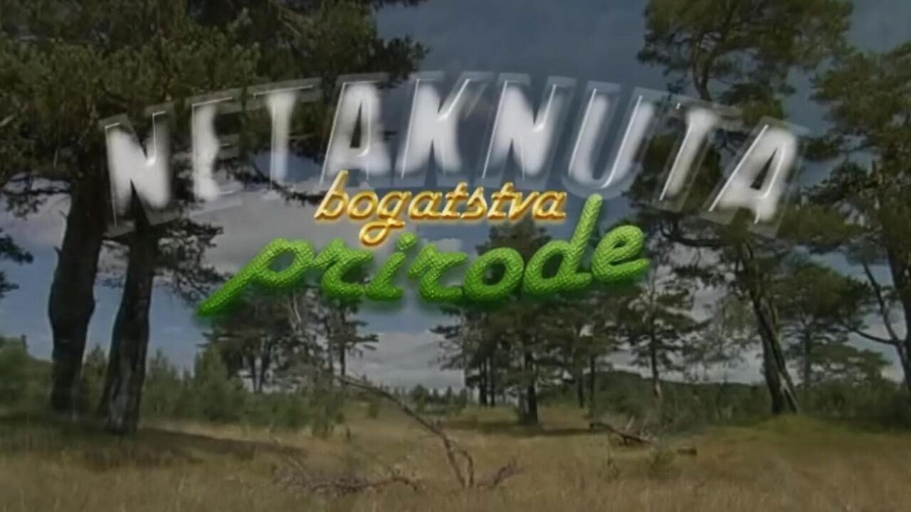 Slika oddaje