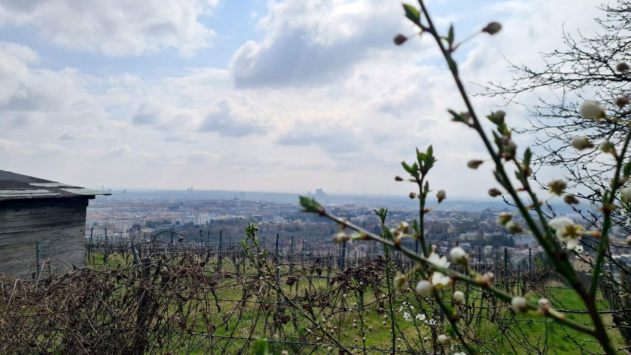 Slika oddaje