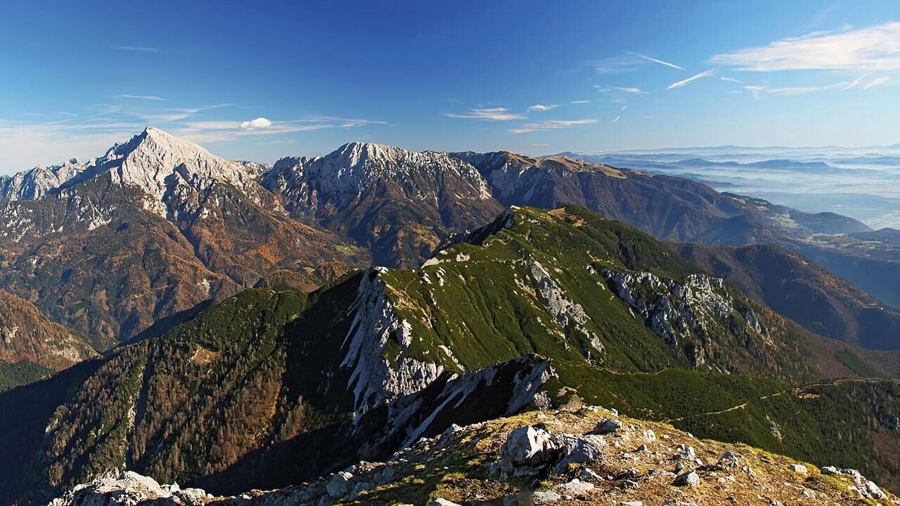 Slika oddaje