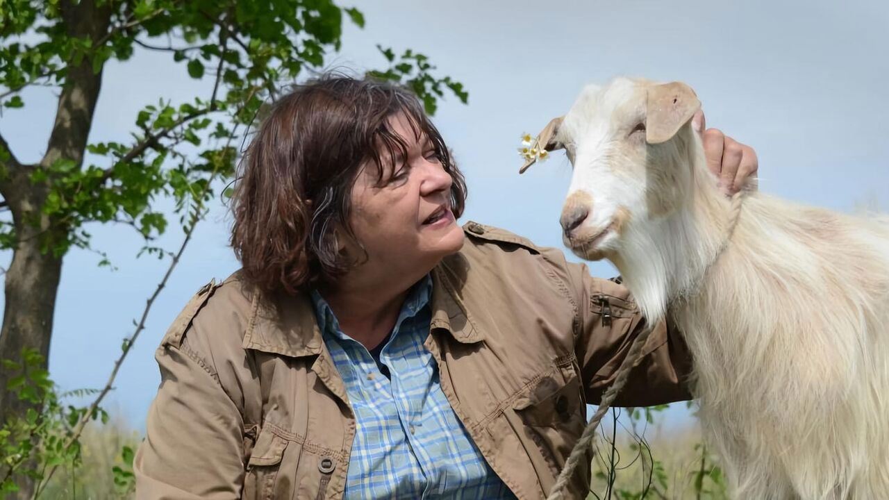 Slika oddaje