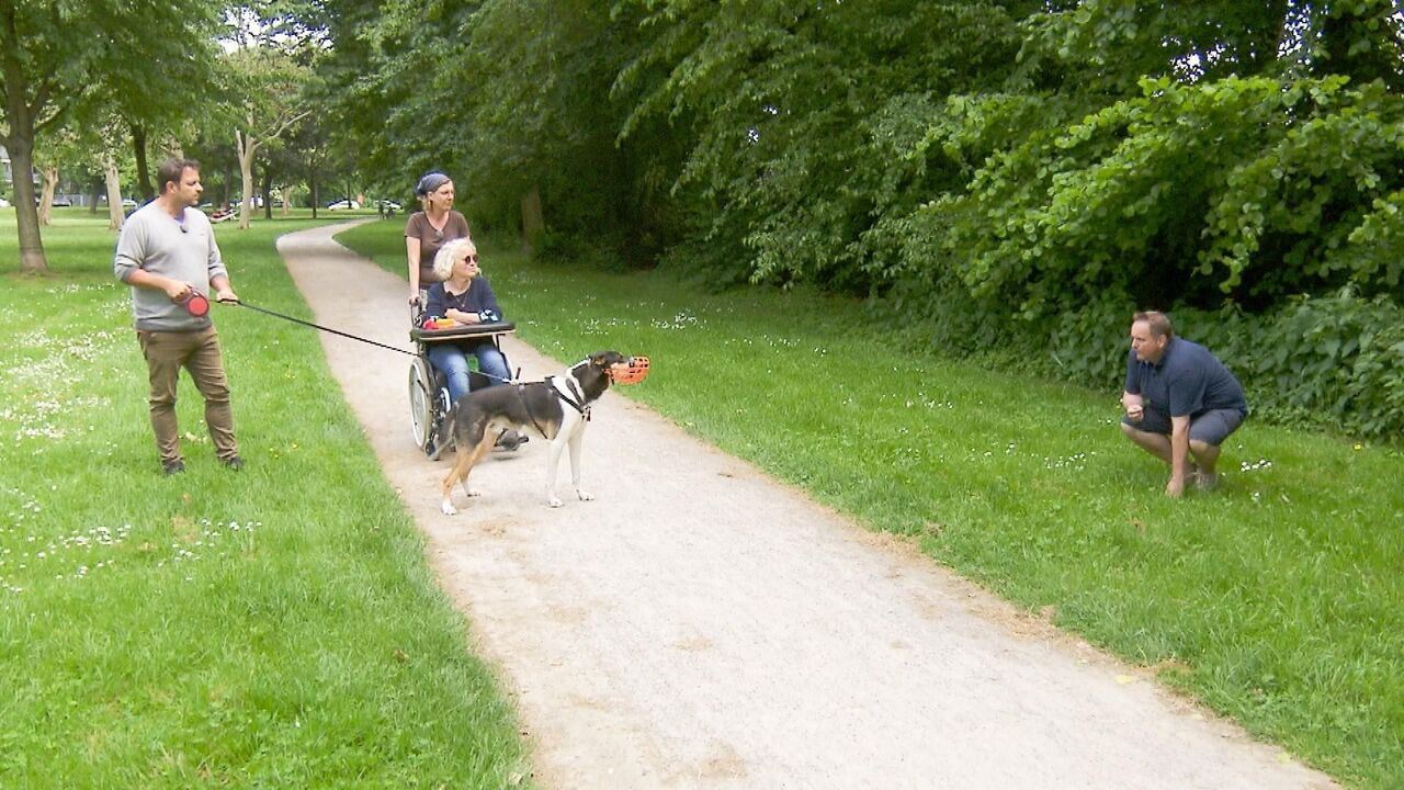 Slika oddaje
