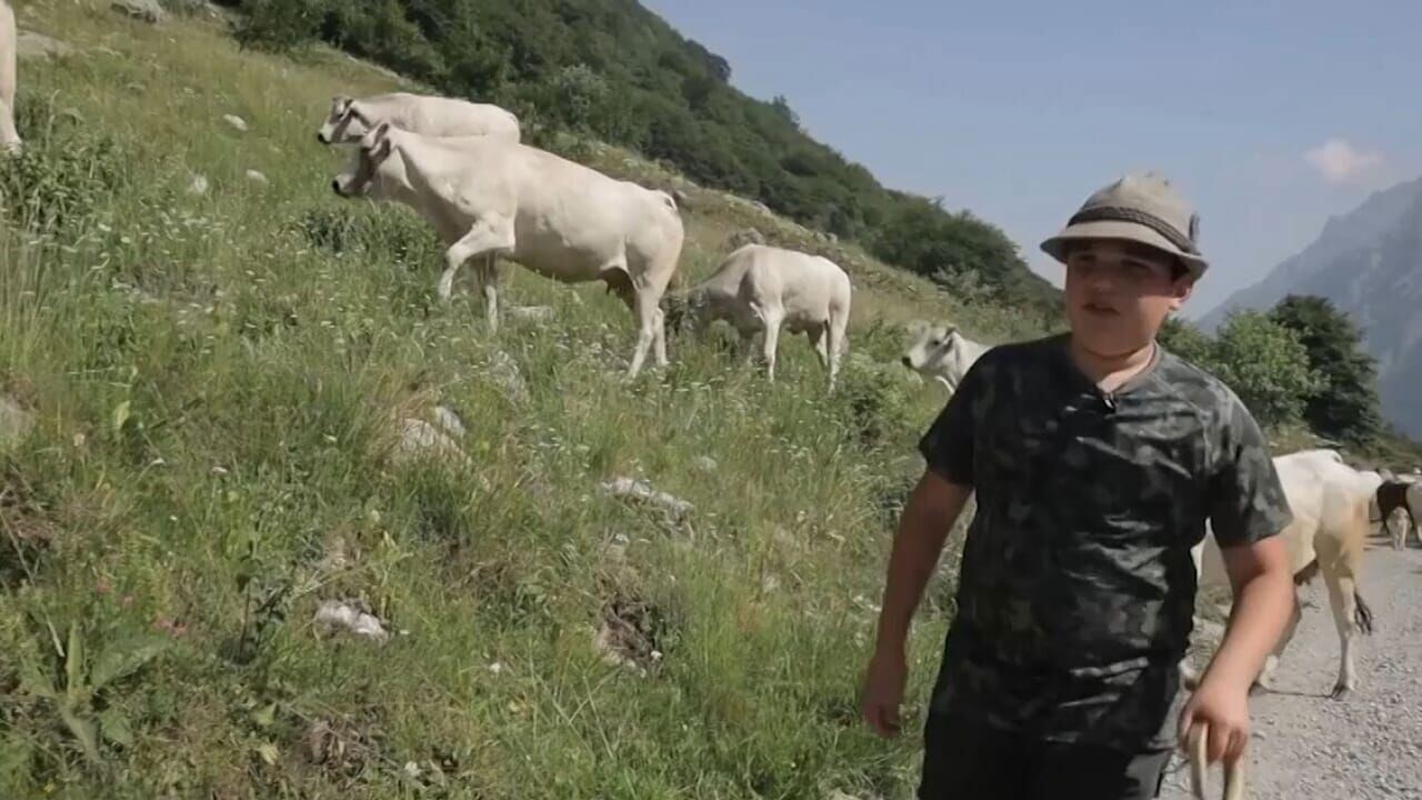 Slika oddaje