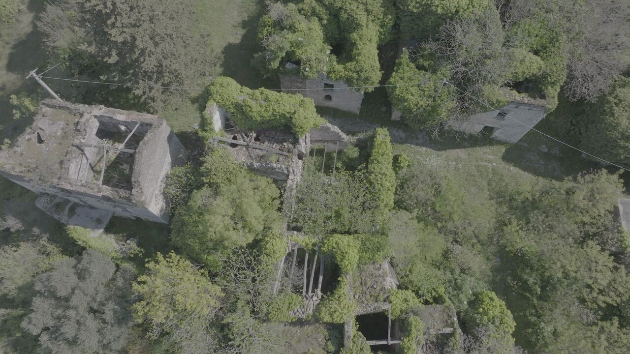 Slika oddaje