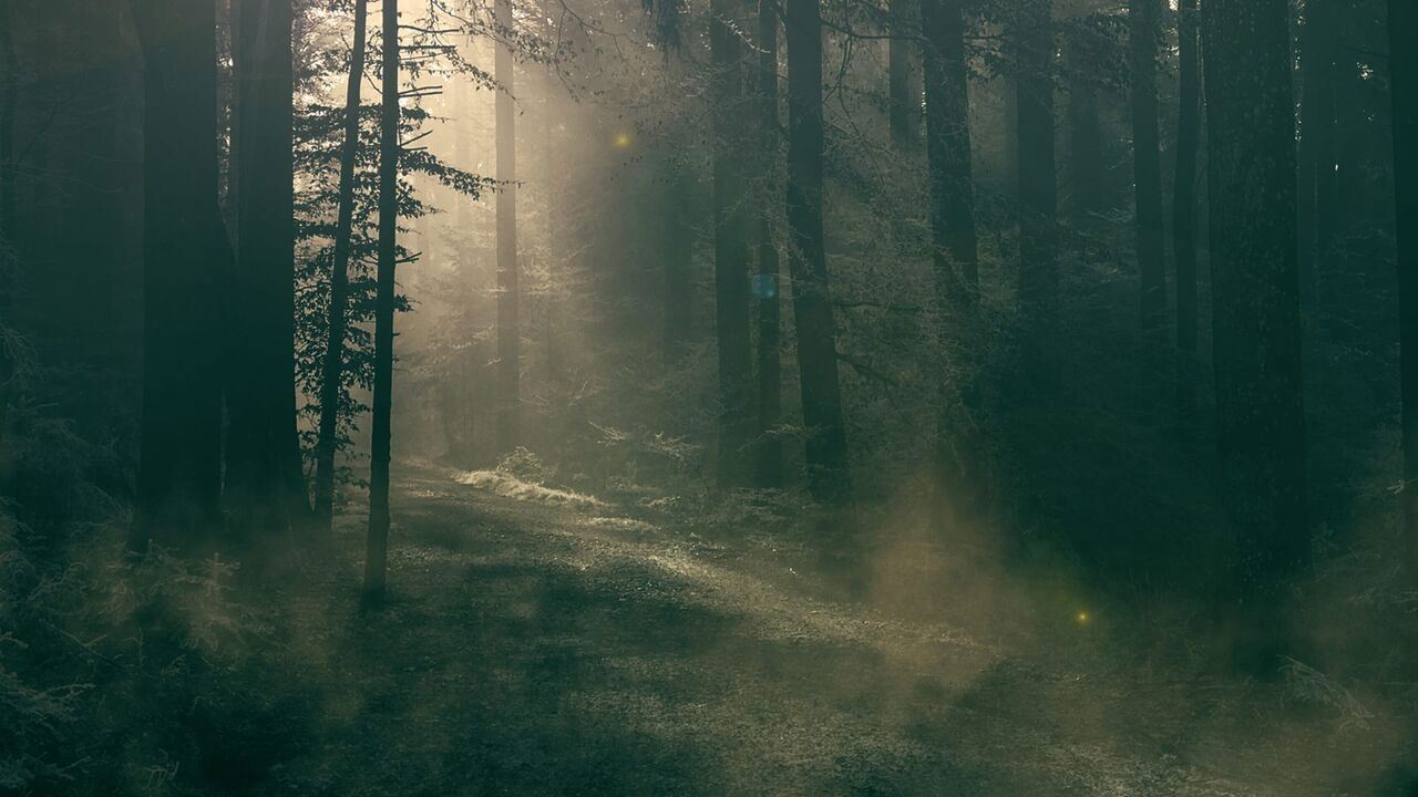 Slika oddaje