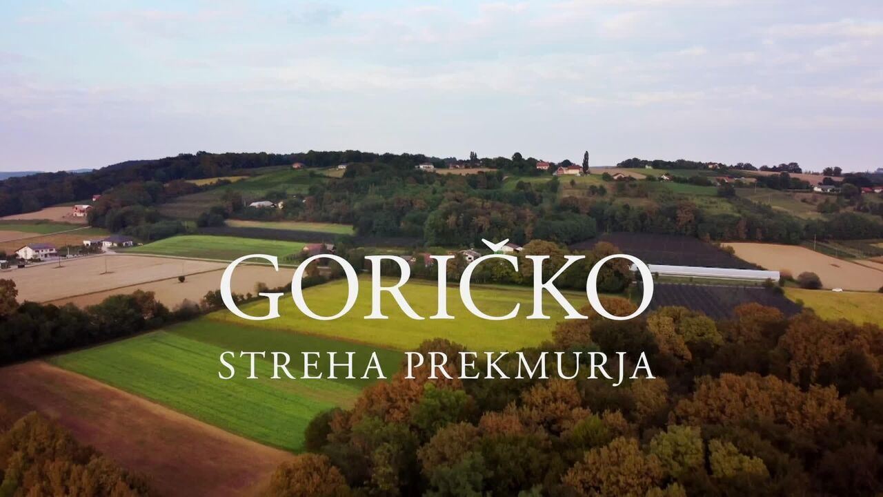Slika oddaje