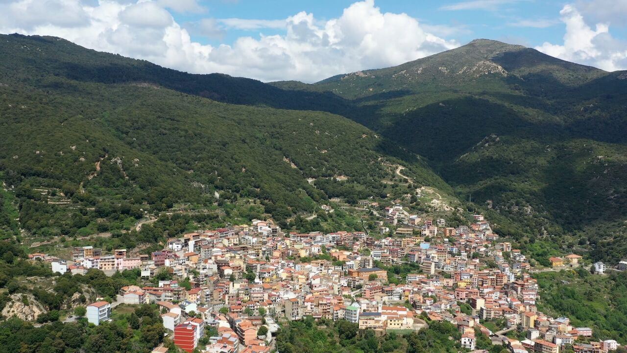 Slika oddaje