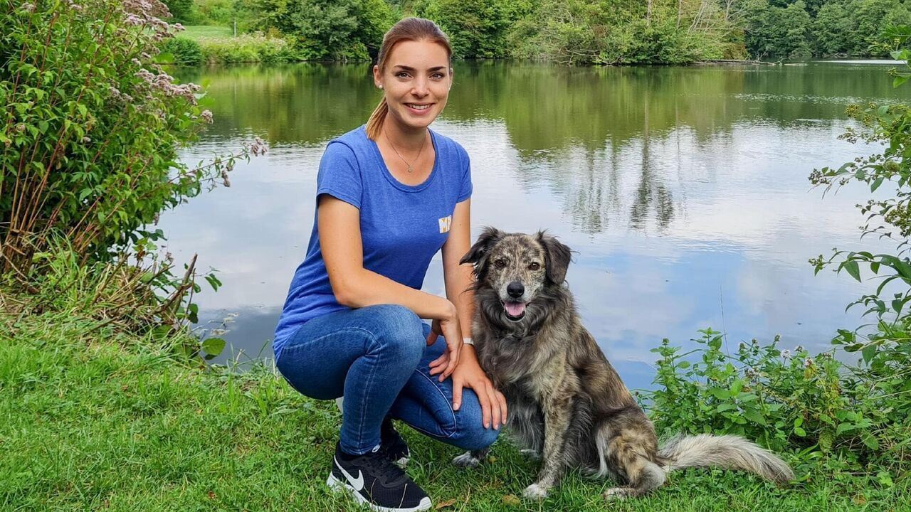 Slika oddaje