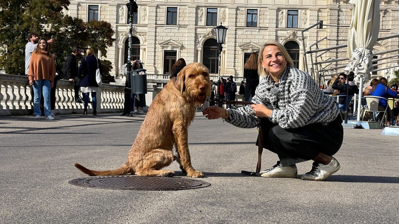 Slika oddaje