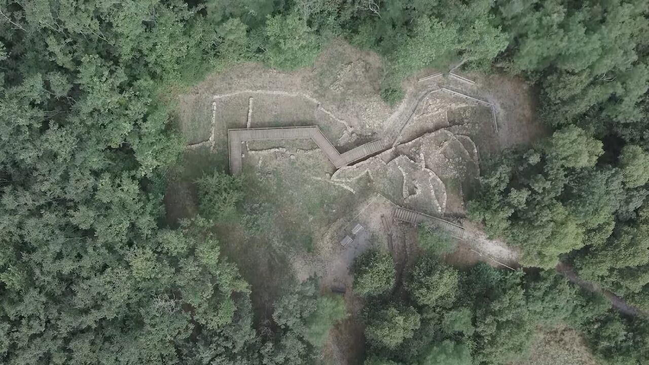Slika oddaje