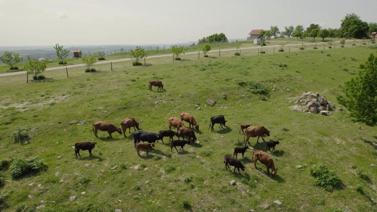 Slika oddaje