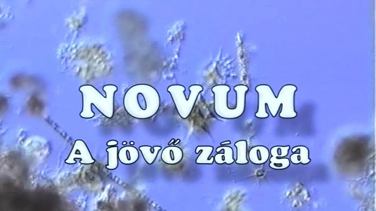 Slika oddaje