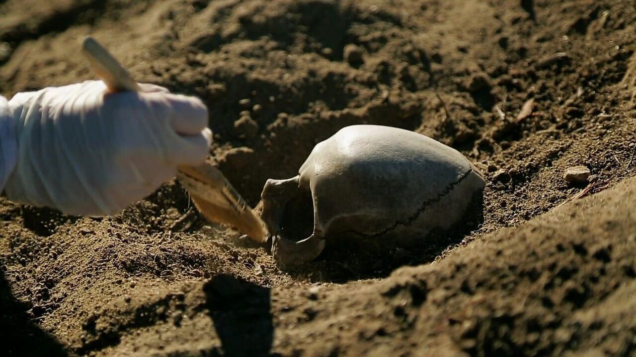 Slika oddaje
