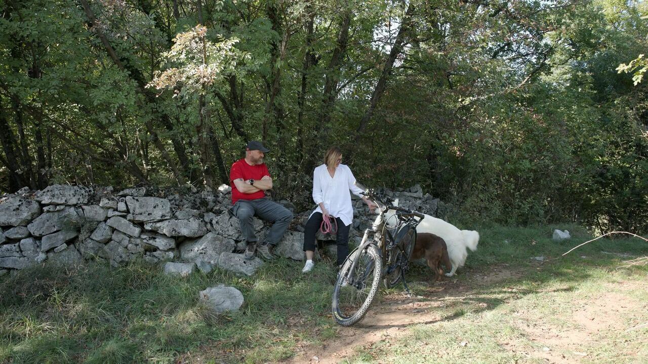 Slika oddaje