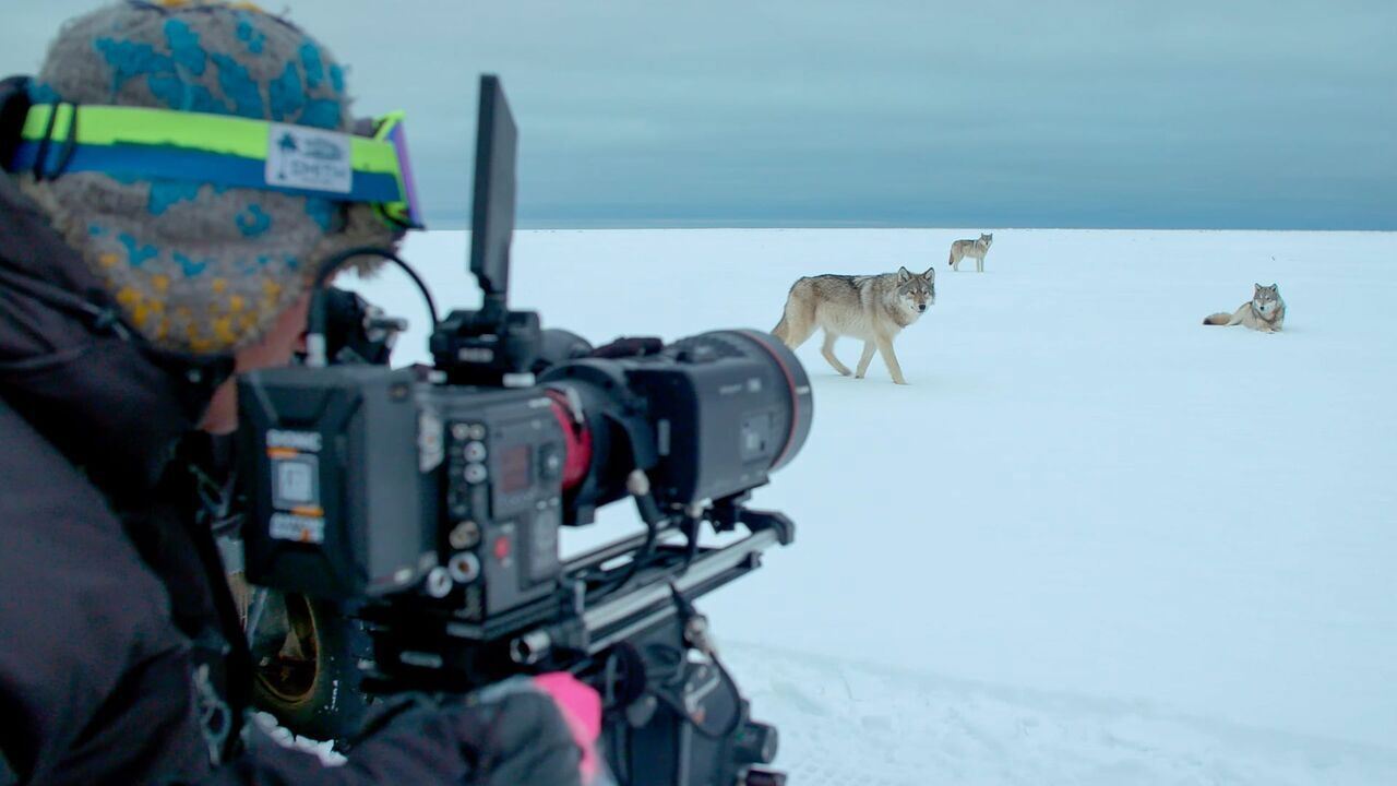 Slika oddaje