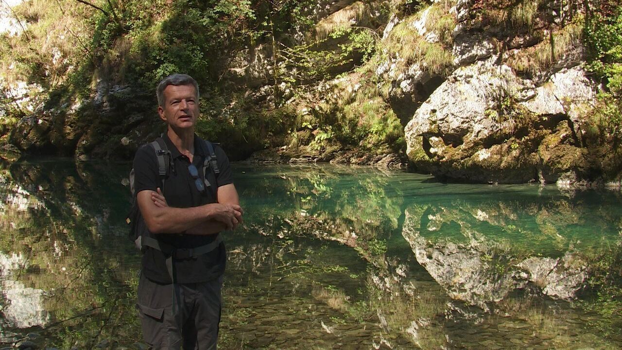 Slika oddaje