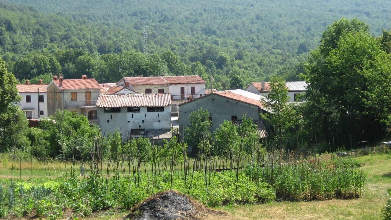 Slika oddaje