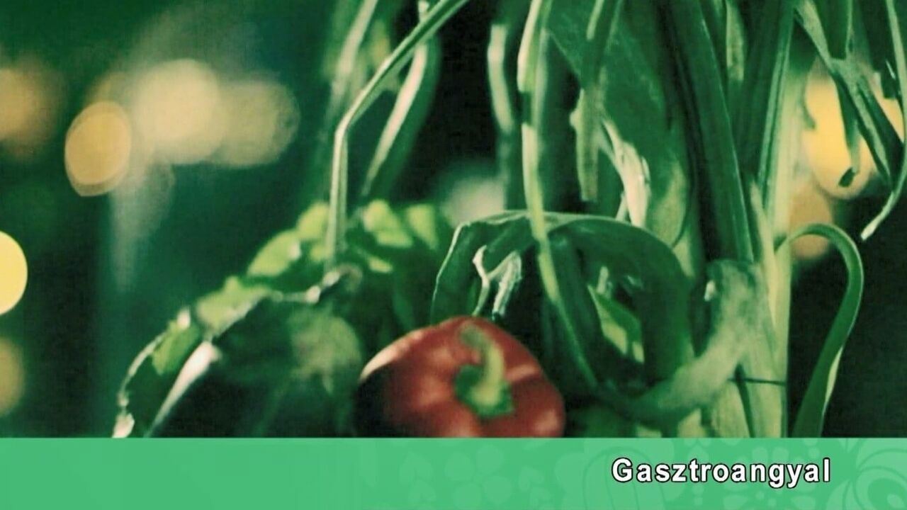 Slika oddaje