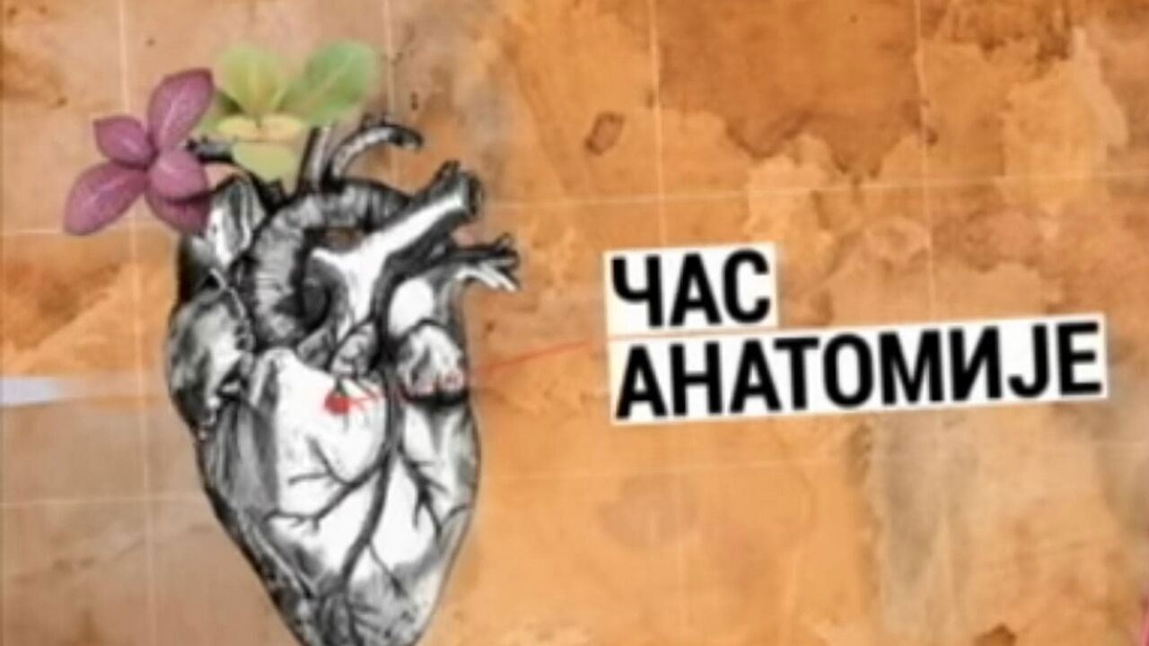 Slika oddaje