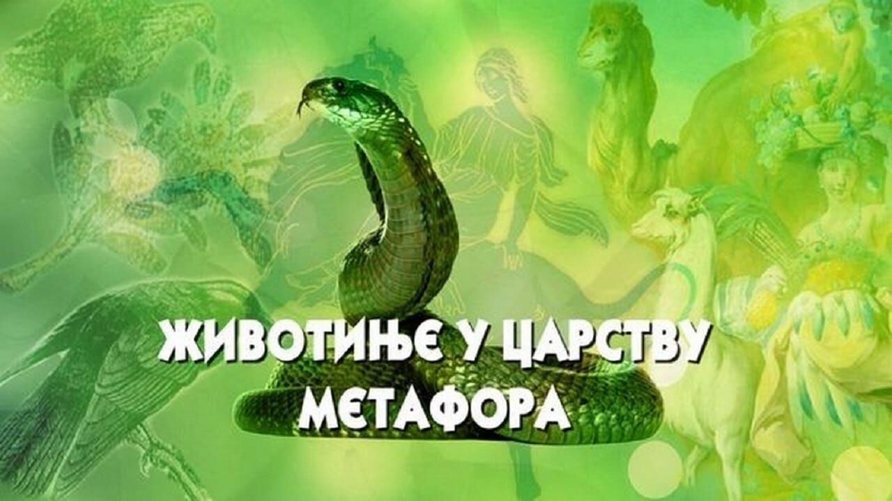 Slika oddaje