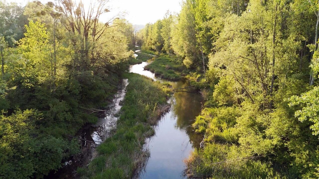 Slika oddaje
