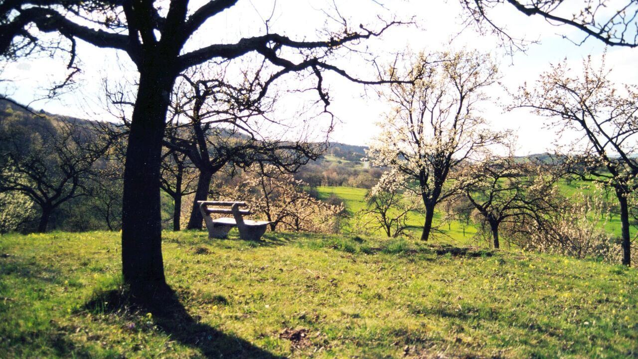 Slika oddaje
