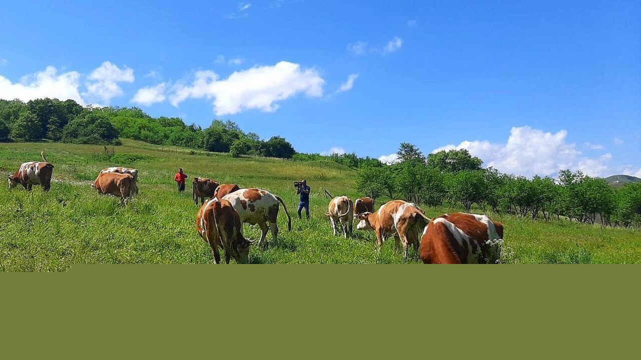 Slika oddaje