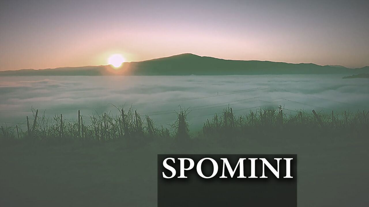 Slika oddaje