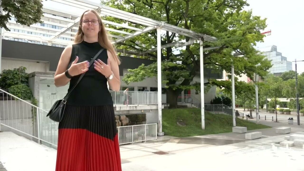 Slika oddaje