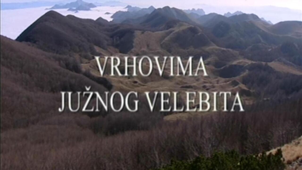 Slika oddaje