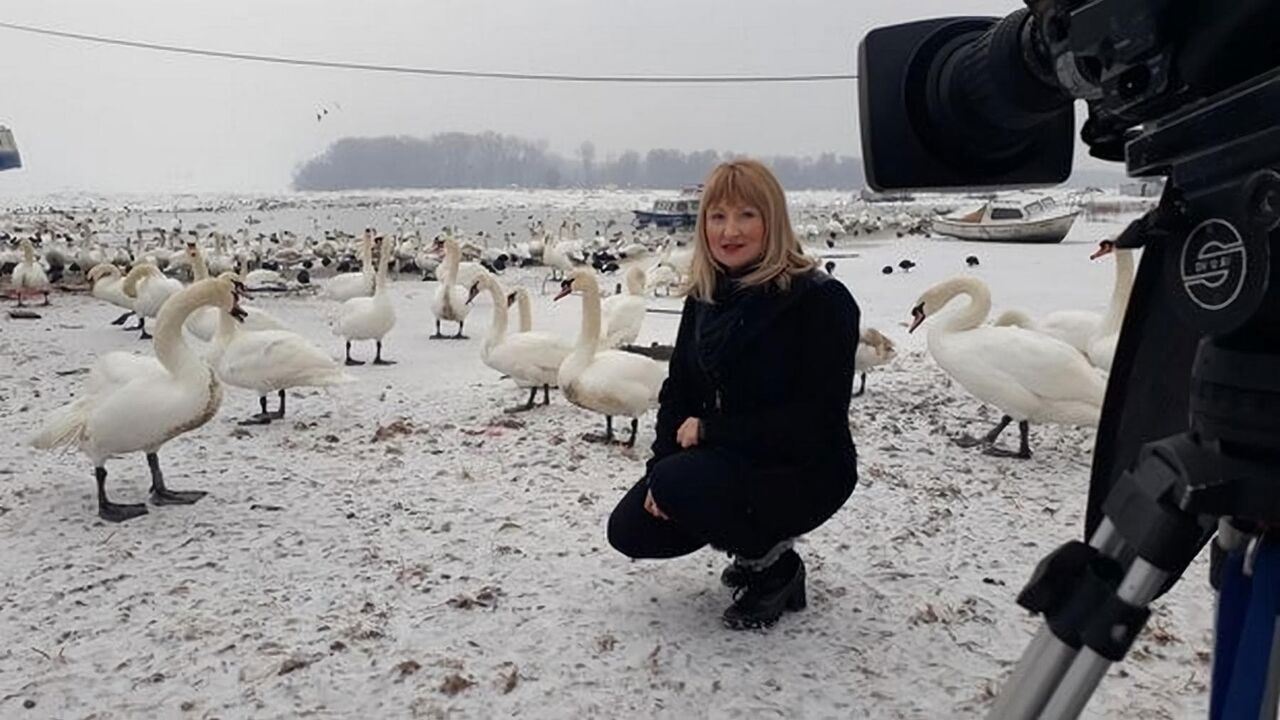 Slika oddaje