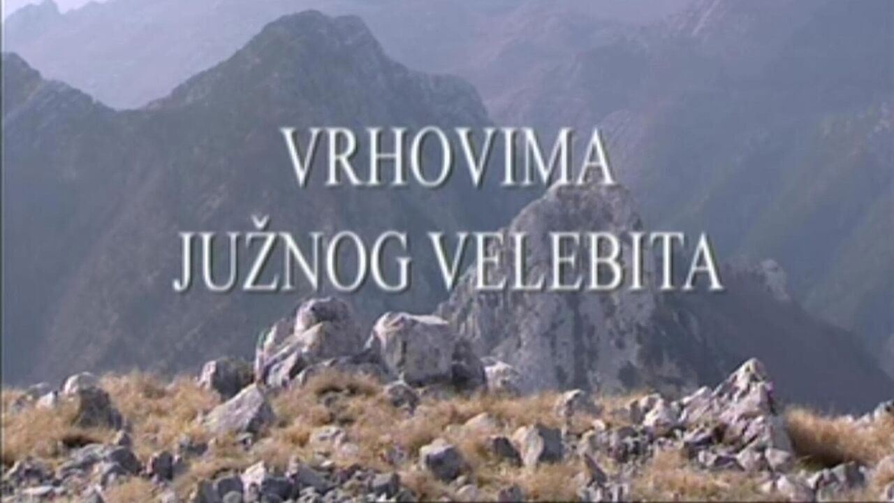 Slika oddaje