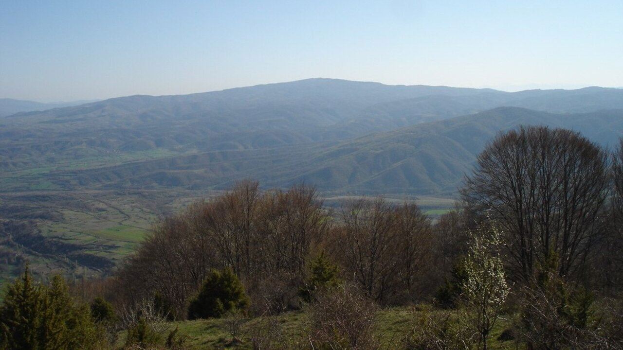 Slika oddaje