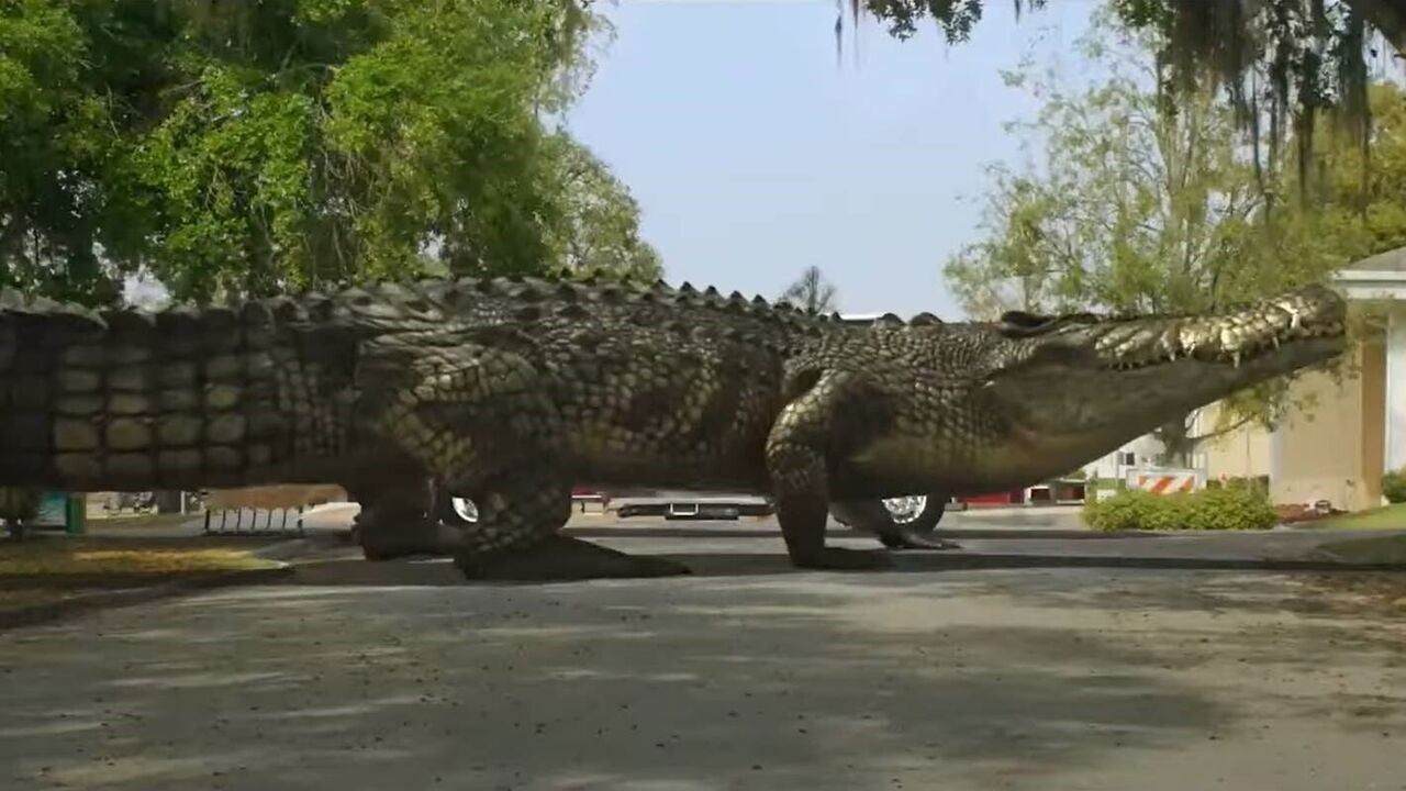 Slika oddaje