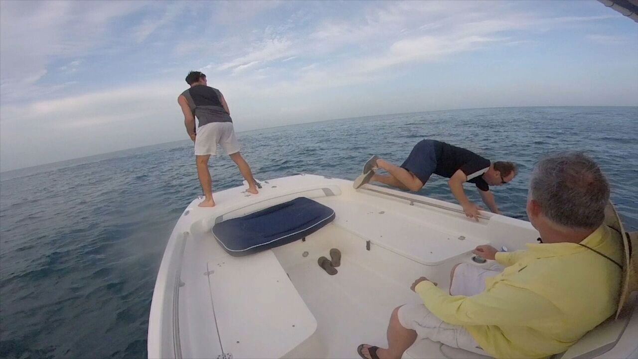 Slika oddaje