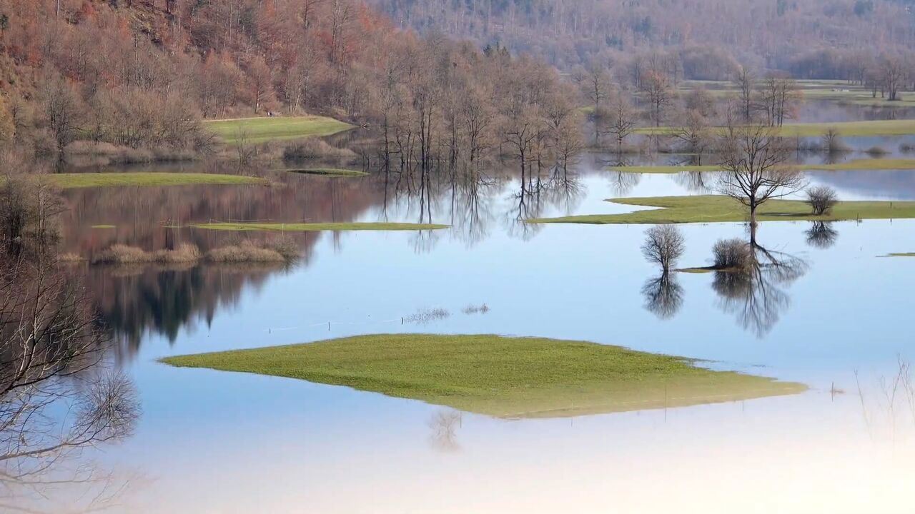 Slika oddaje
