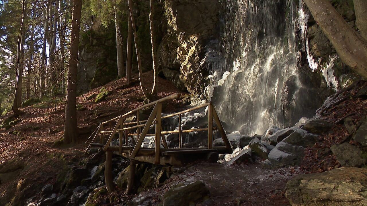 Slika oddaje
