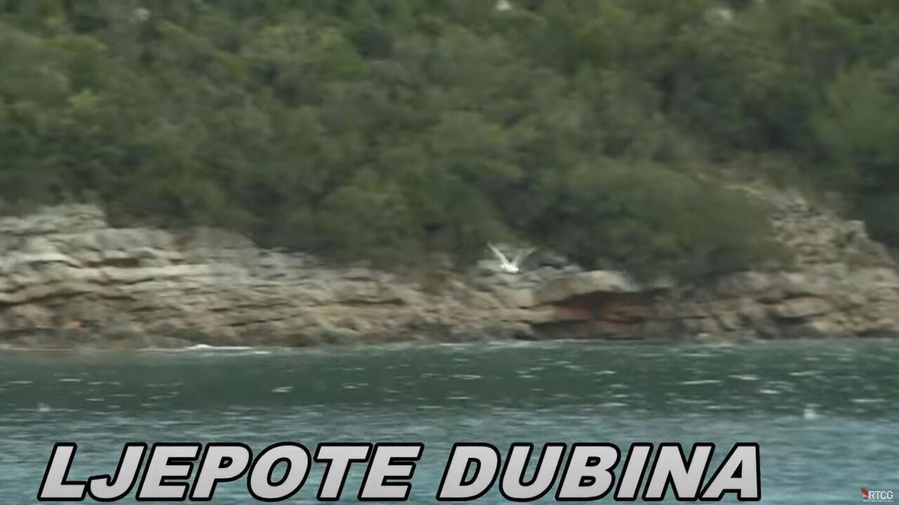Slika oddaje