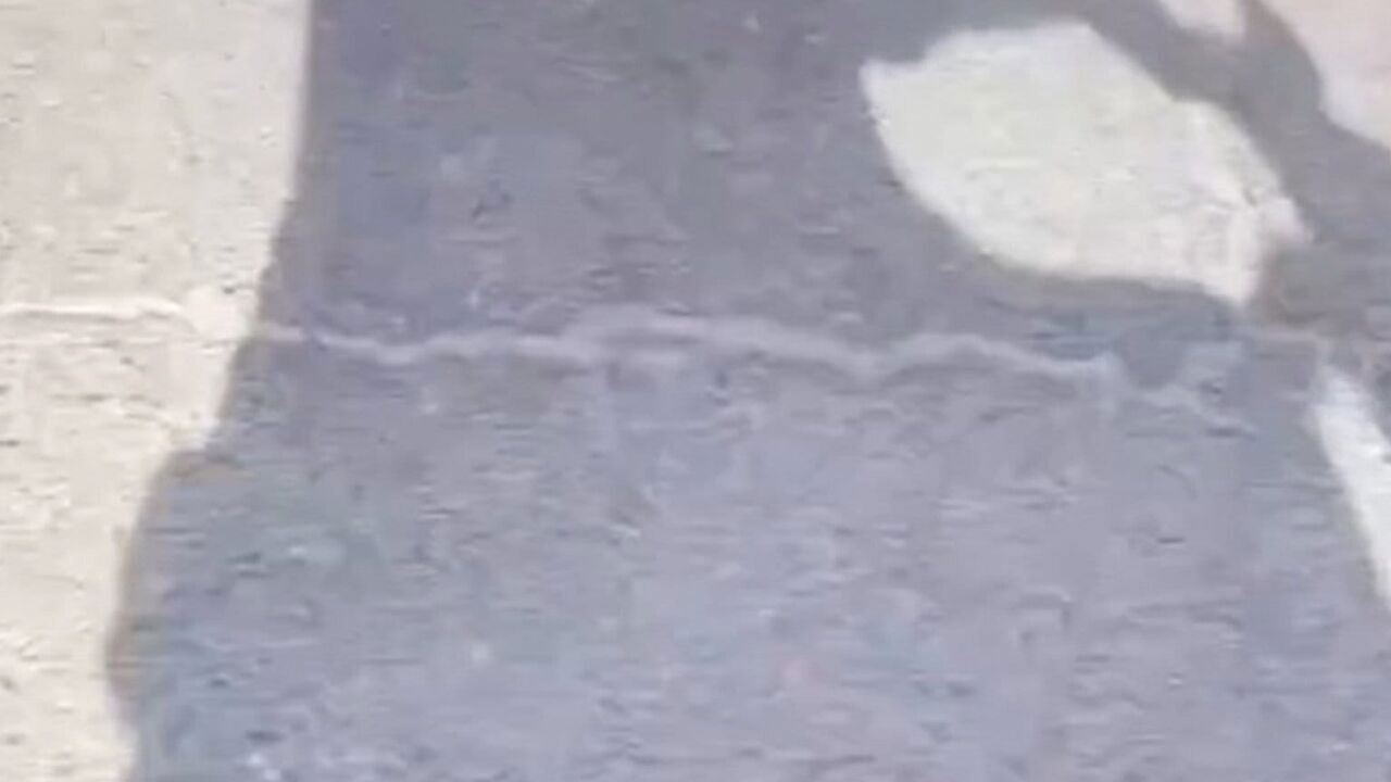 Slika oddaje